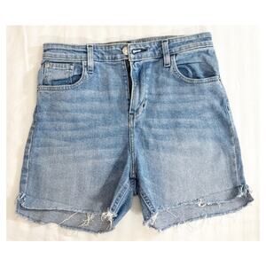 VTG BDG High Rise Distressed Denim Shorts (Made in Mexico RN 66170) - Size 29